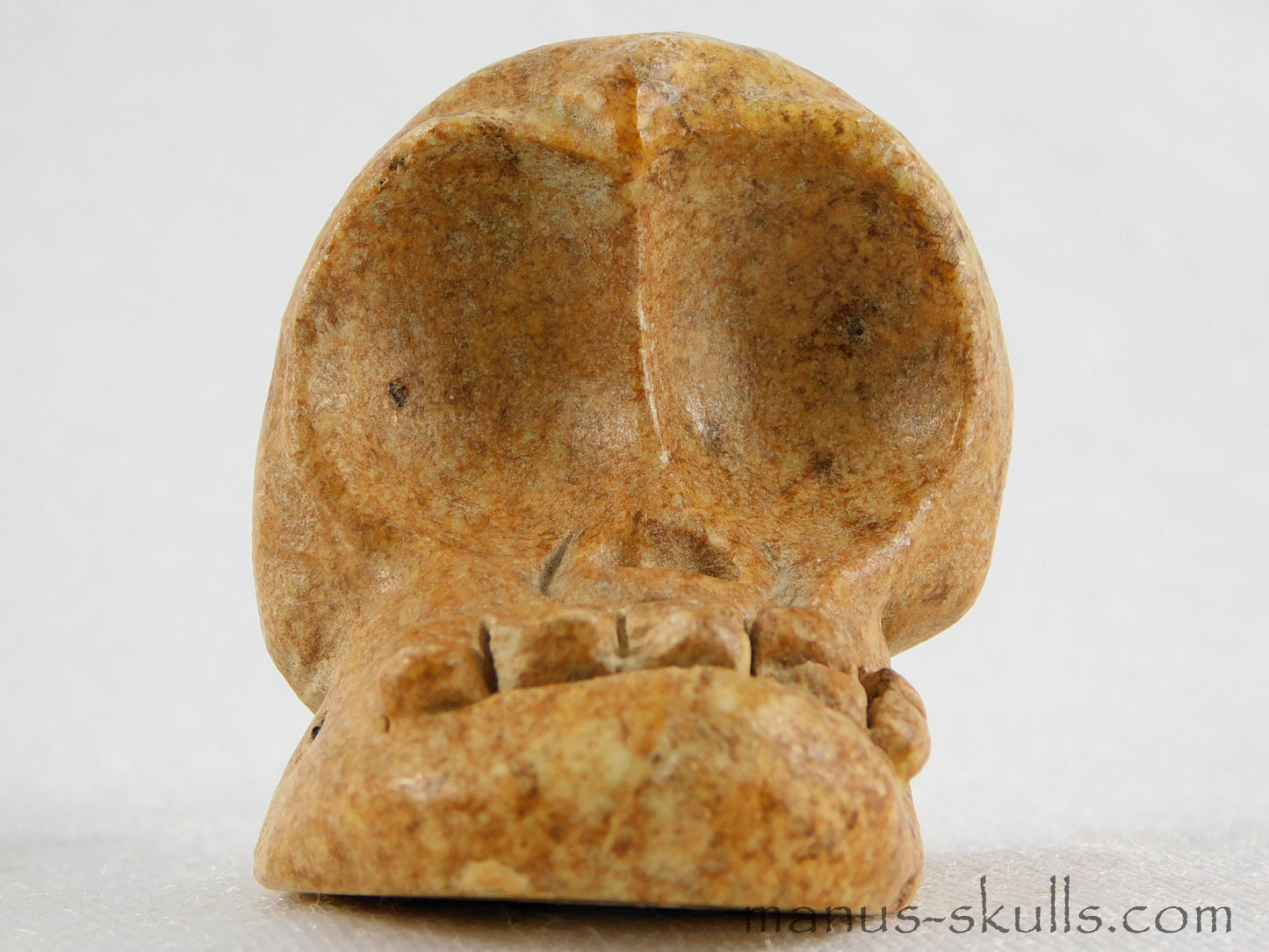 Steatite Evolian Skull #22