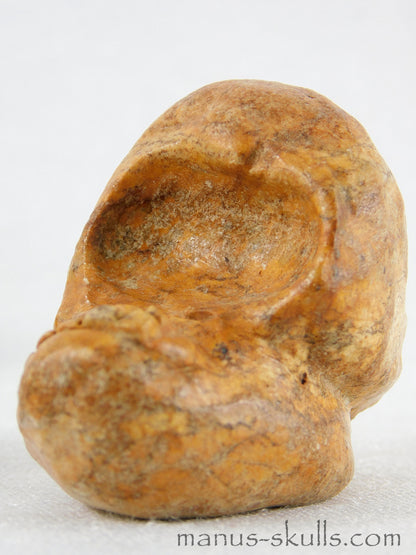 Steatite Evolian Skull #19