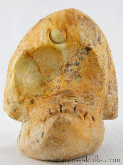 Steatite Evolian Skull #20