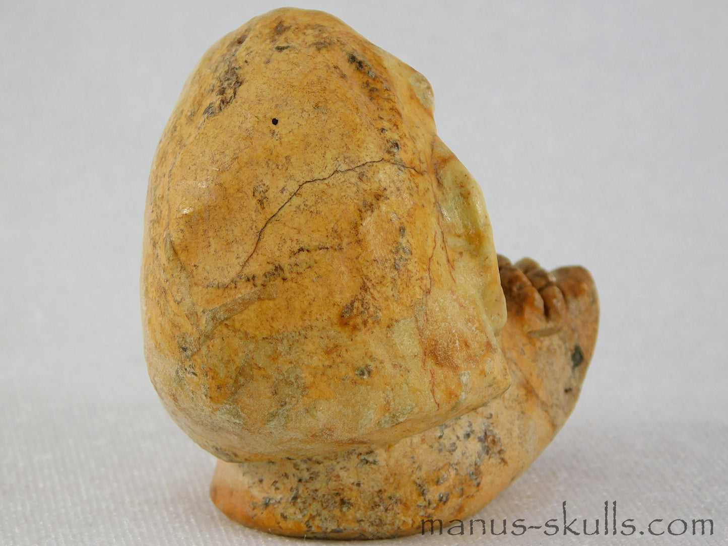 Steatite Evolian Skull #20