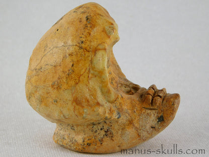 Steatite Evolian Skull #20