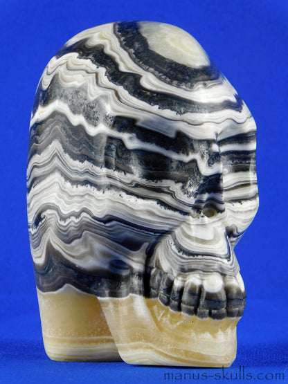 Zebra Calcite Skull