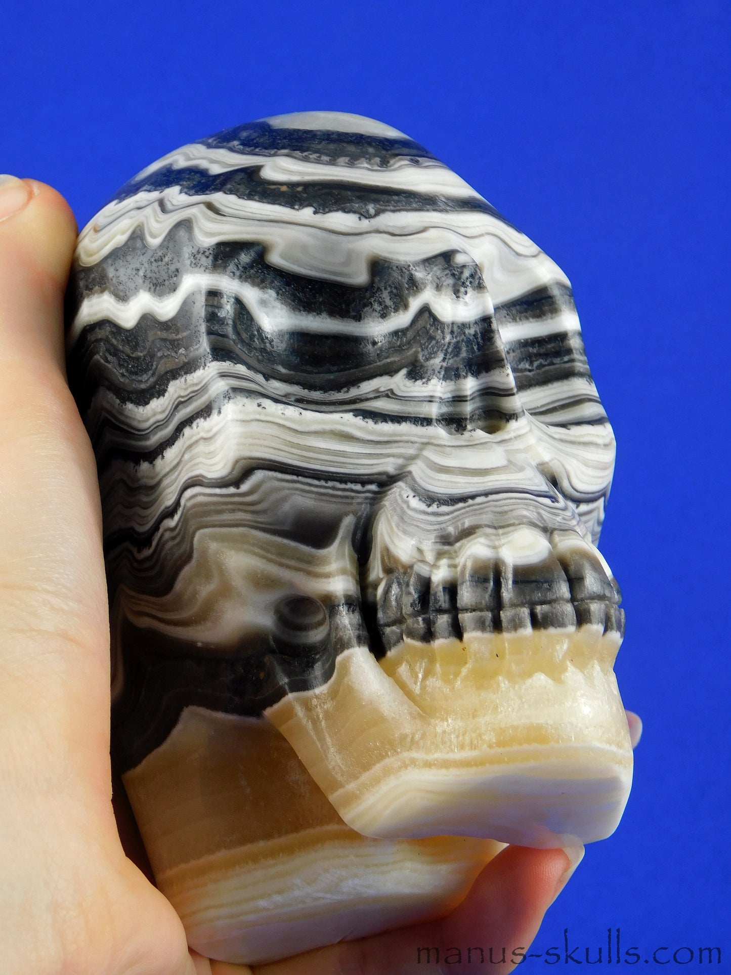 Zebra Calcite Skull