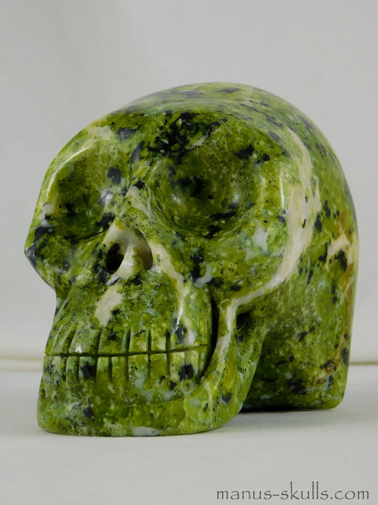 Lizardite Skull