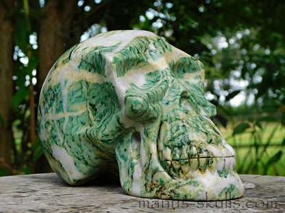 Large Mariposite Skull