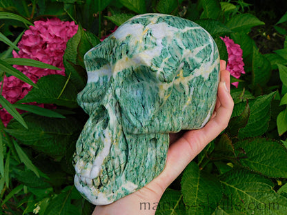 Large Mariposite Skull