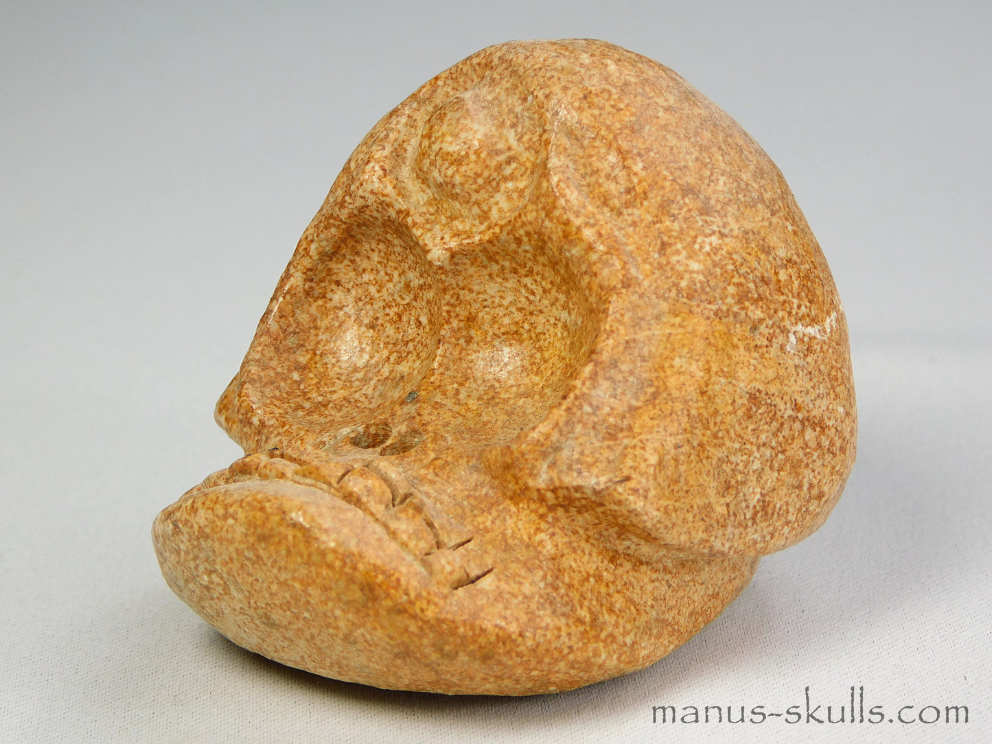 Steatite Evolian Skull #23