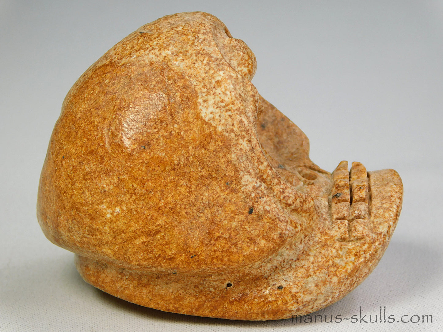 Steatite Evolian Skull #23