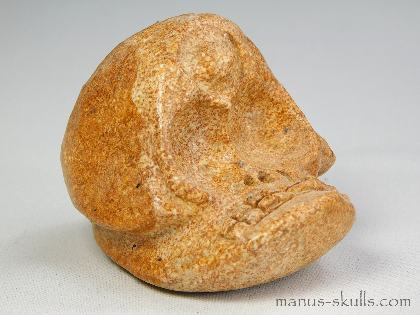 Steatite Evolian Skull #23