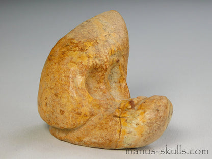 Steatite Evolian Skull #39