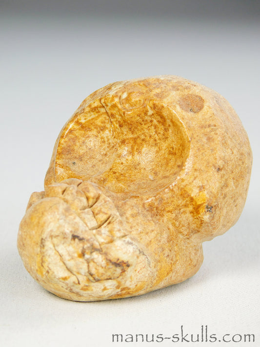 Steatite Evolian Skull #37