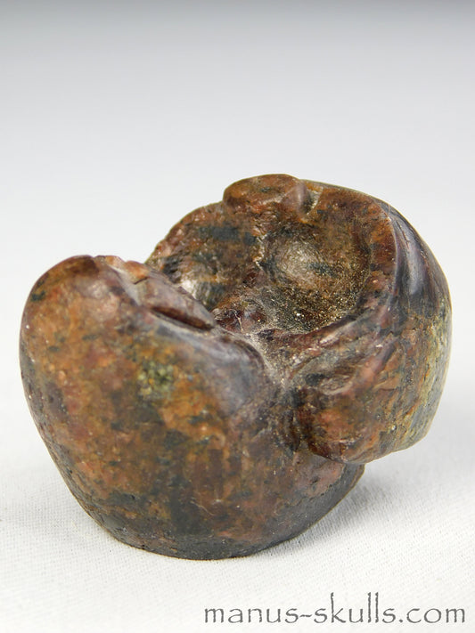 Garnet Evolian Skull #30