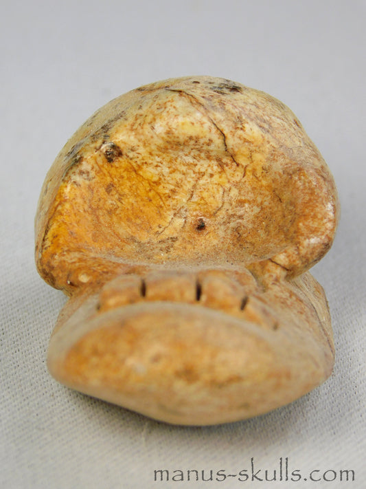 Steatite Evolian Skull #36