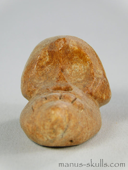 Steatite Evolian Skull  #41