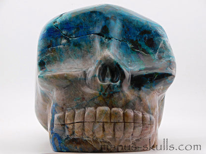 Huge Quantum Quattro Skull