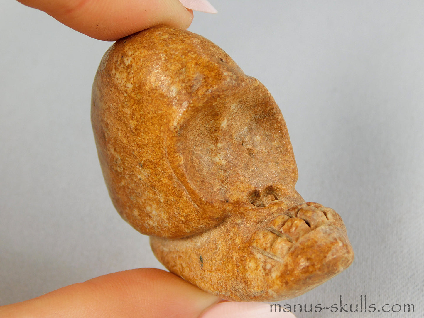 Steatite Evolian Skull #45