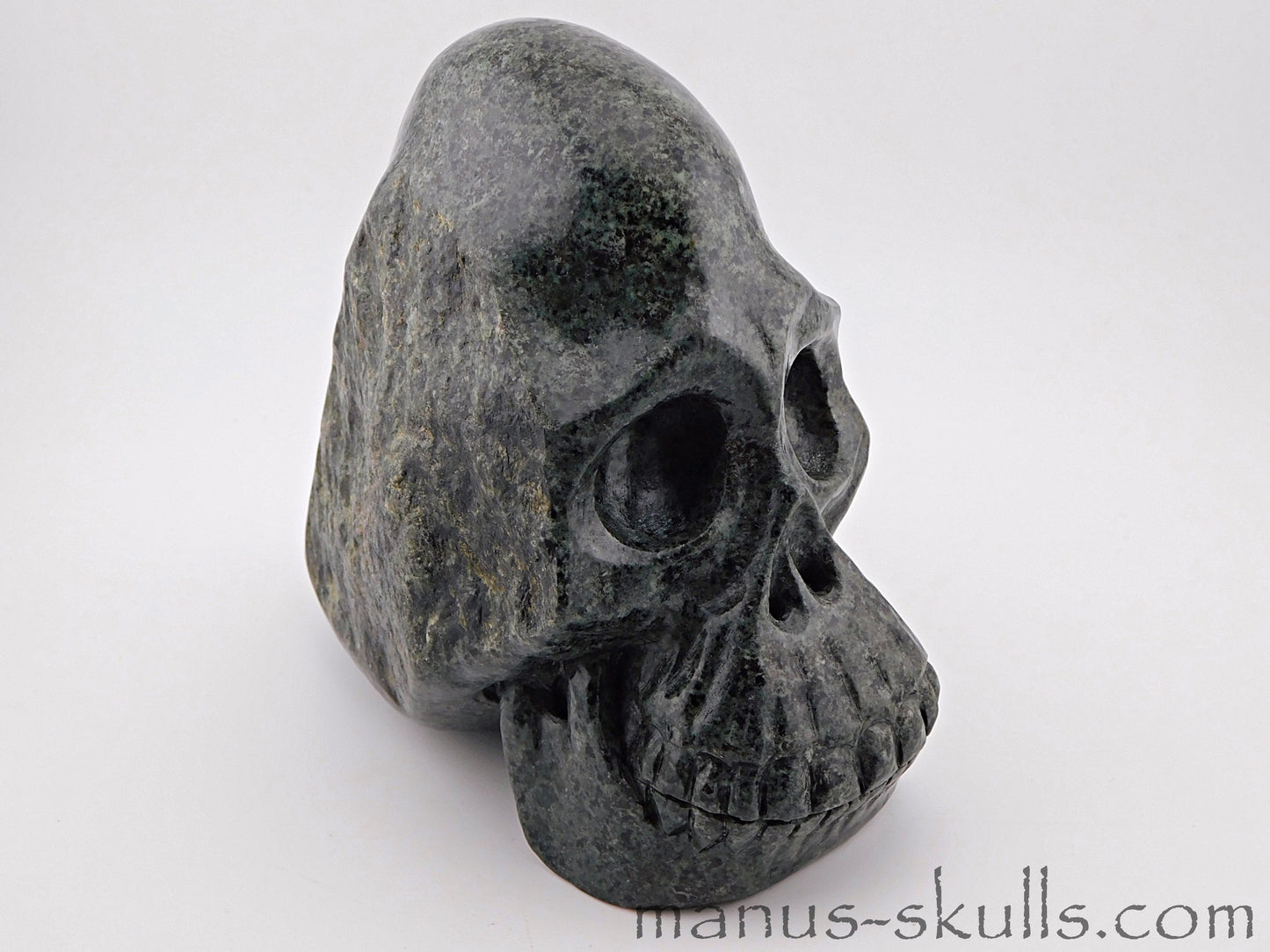 Unspotted Preseli Bluestone Skull
