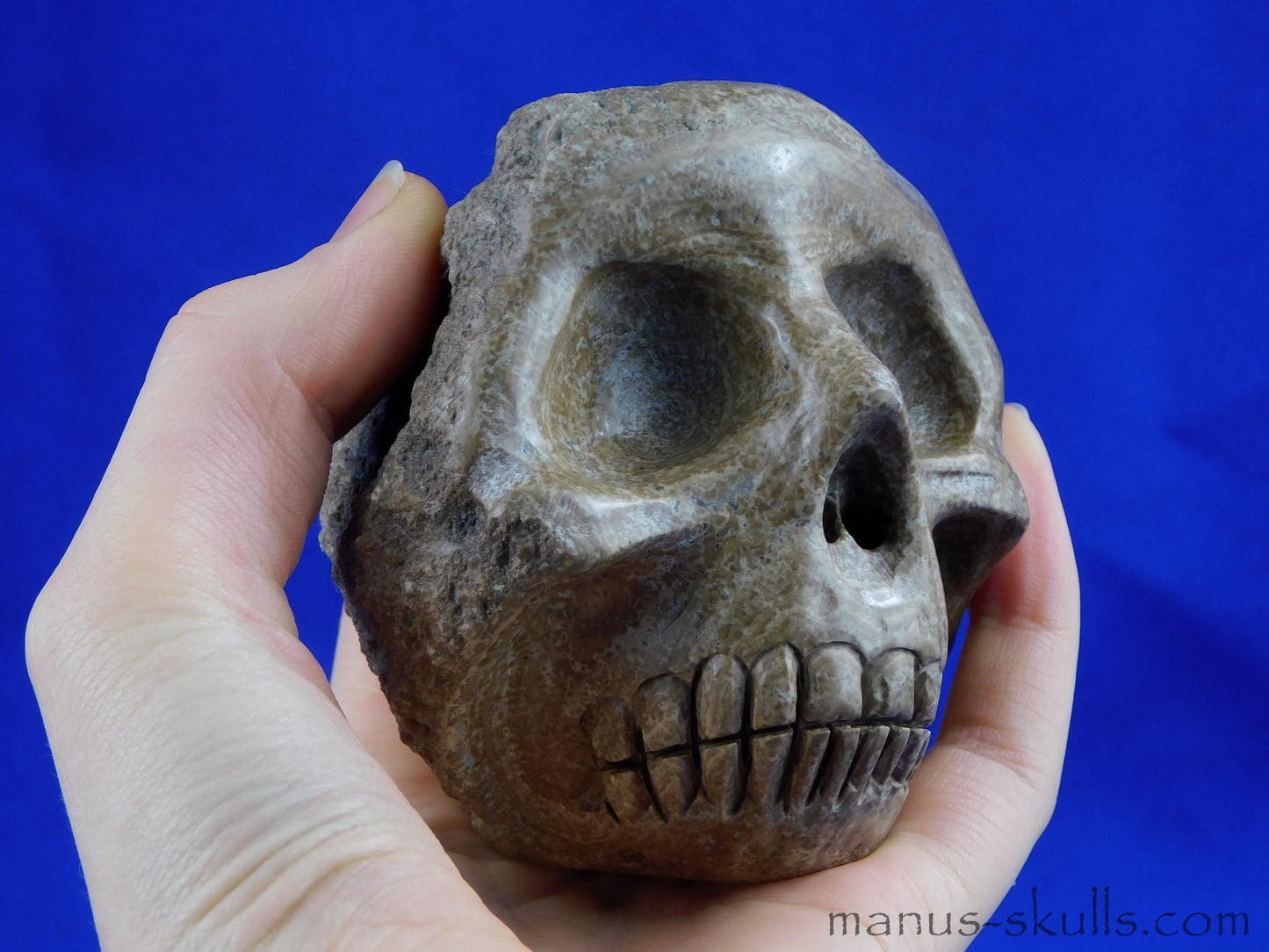 Aragonite Nodul Skull
