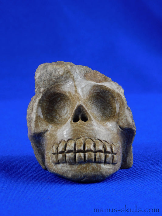 Aragonite SKULL