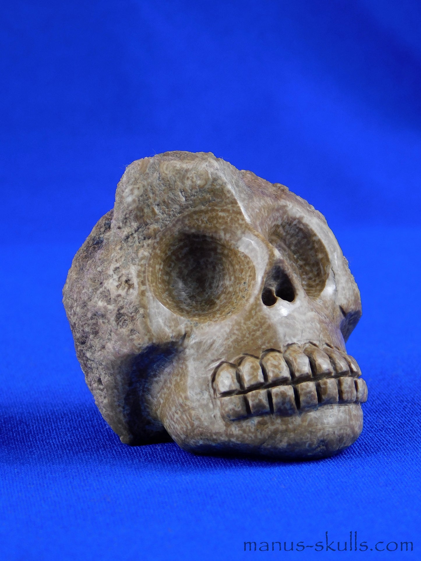 Aragonite SKULL