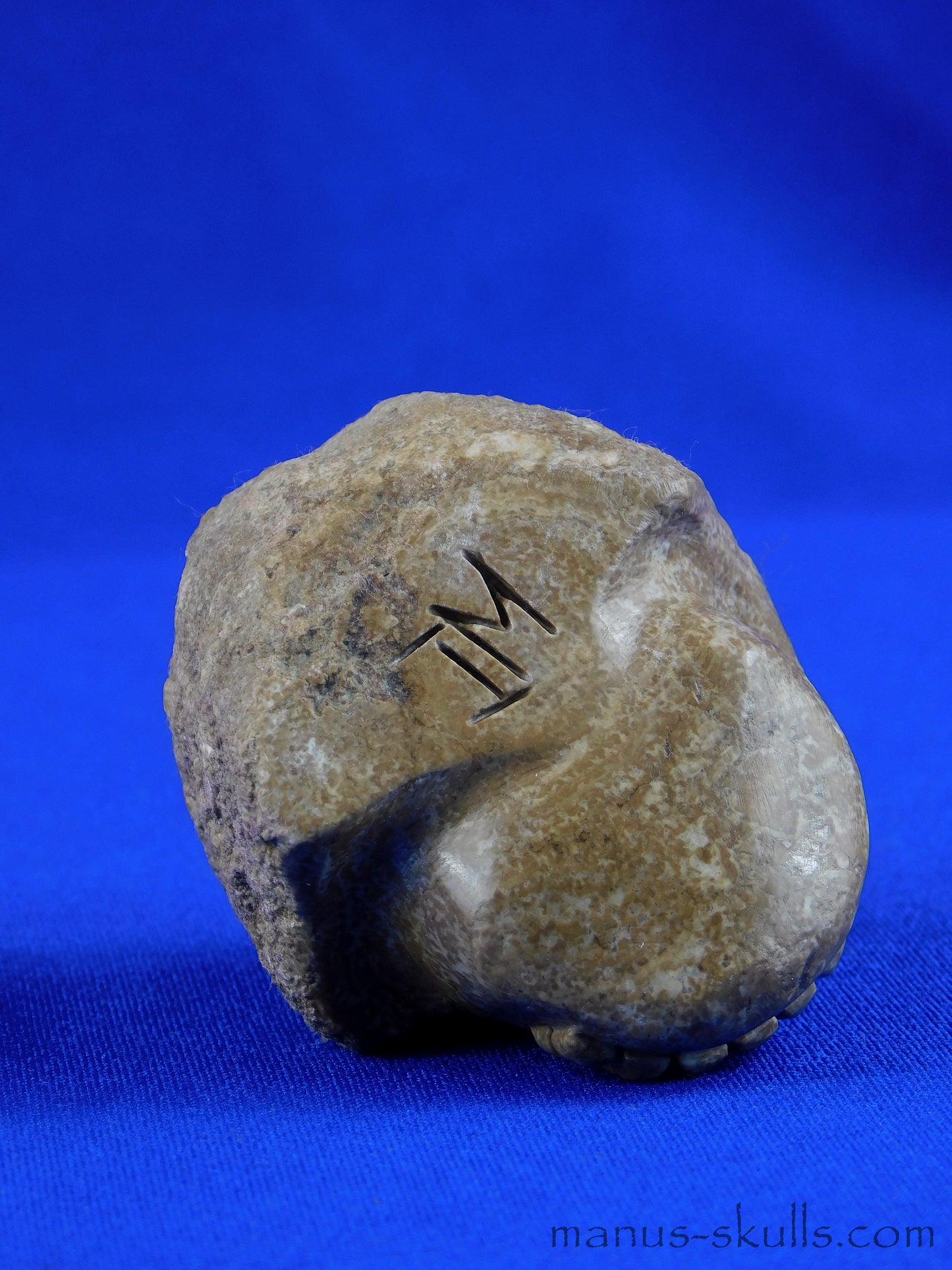 Aragonite SKULL