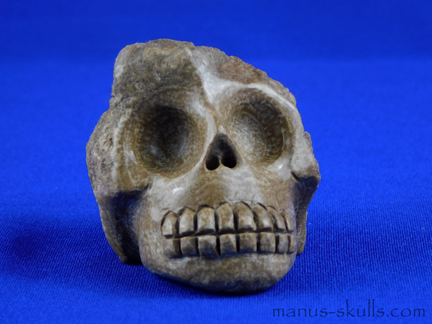 Aragonite SKULL