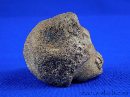 Aragonite SKULL