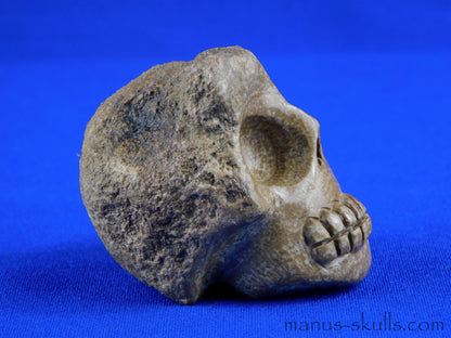 Aragonite SKULL