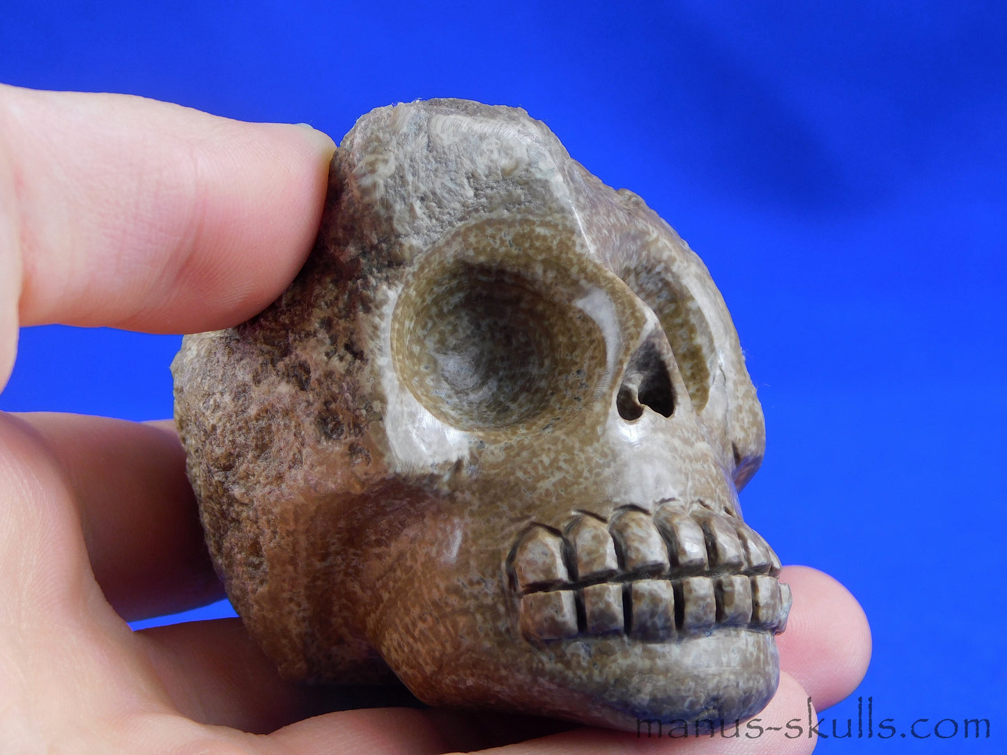 Aragonite SKULL