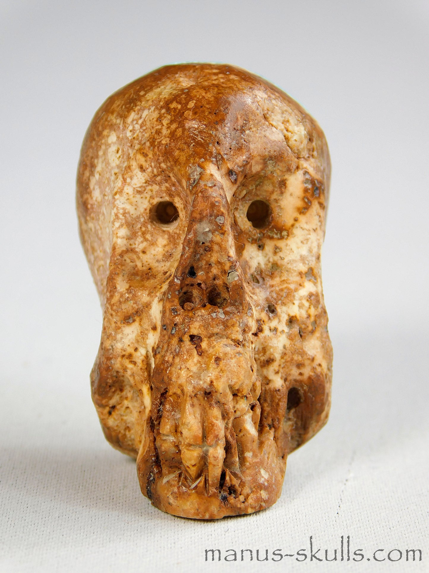 Turquois Skull