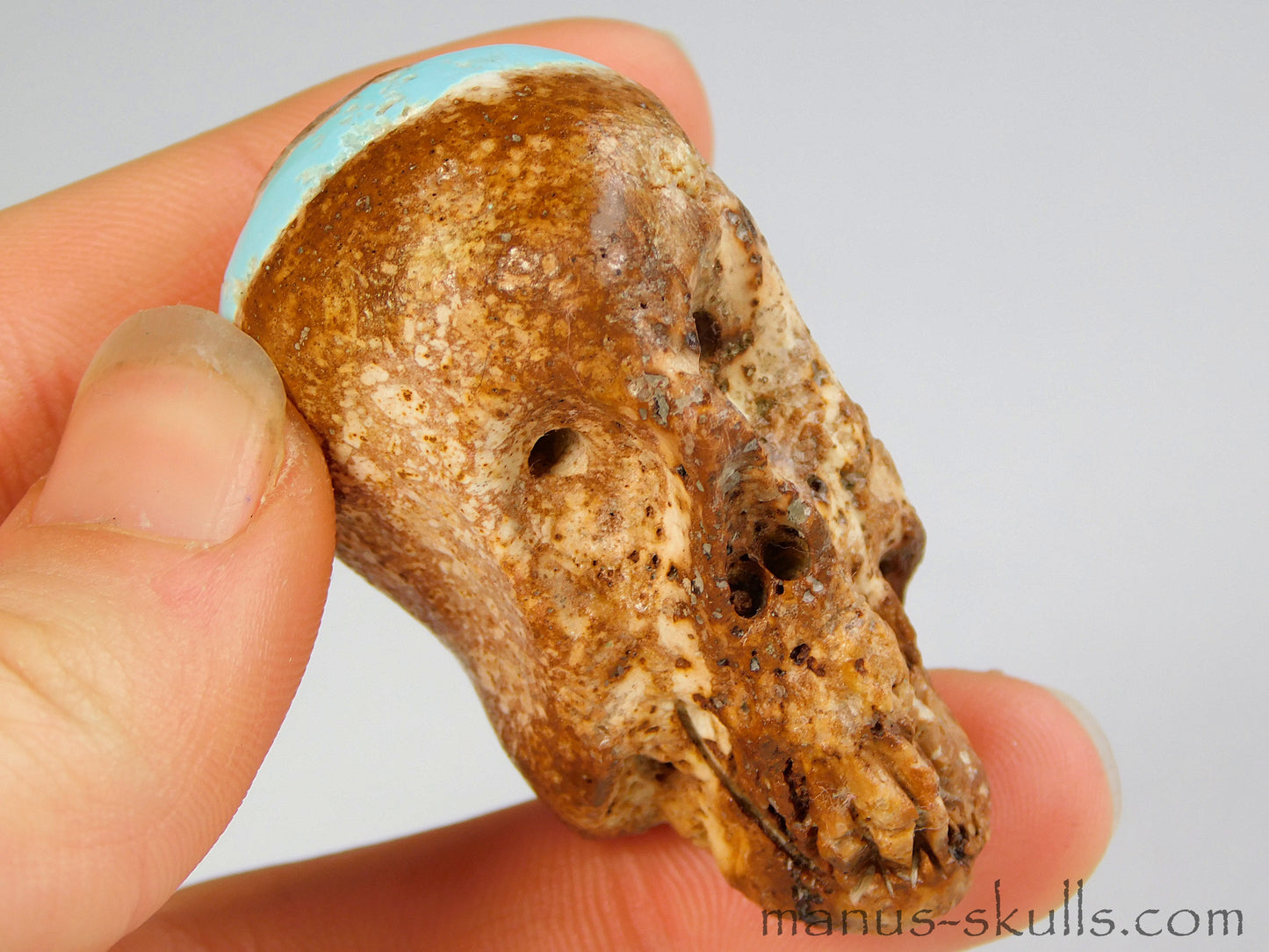 Turquois Skull