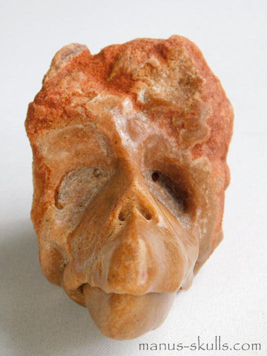 Stromatolite Skull