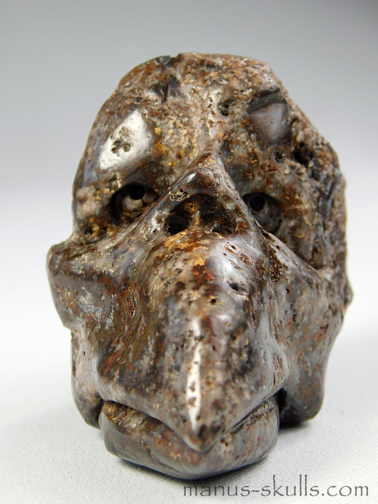 Toothless Tsesite Skull