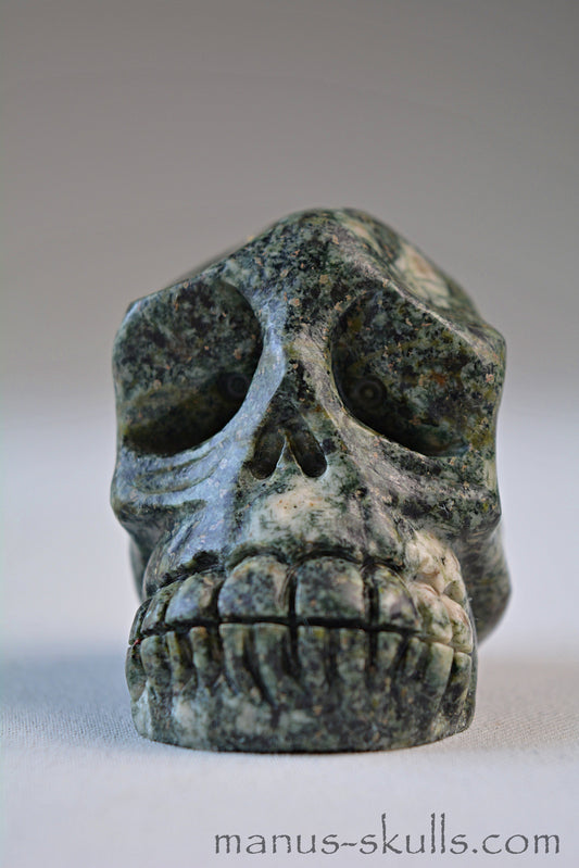 Preseli Bluestone Skull