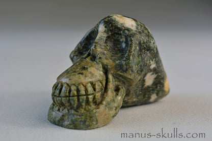 Preseli Bluestone Skull