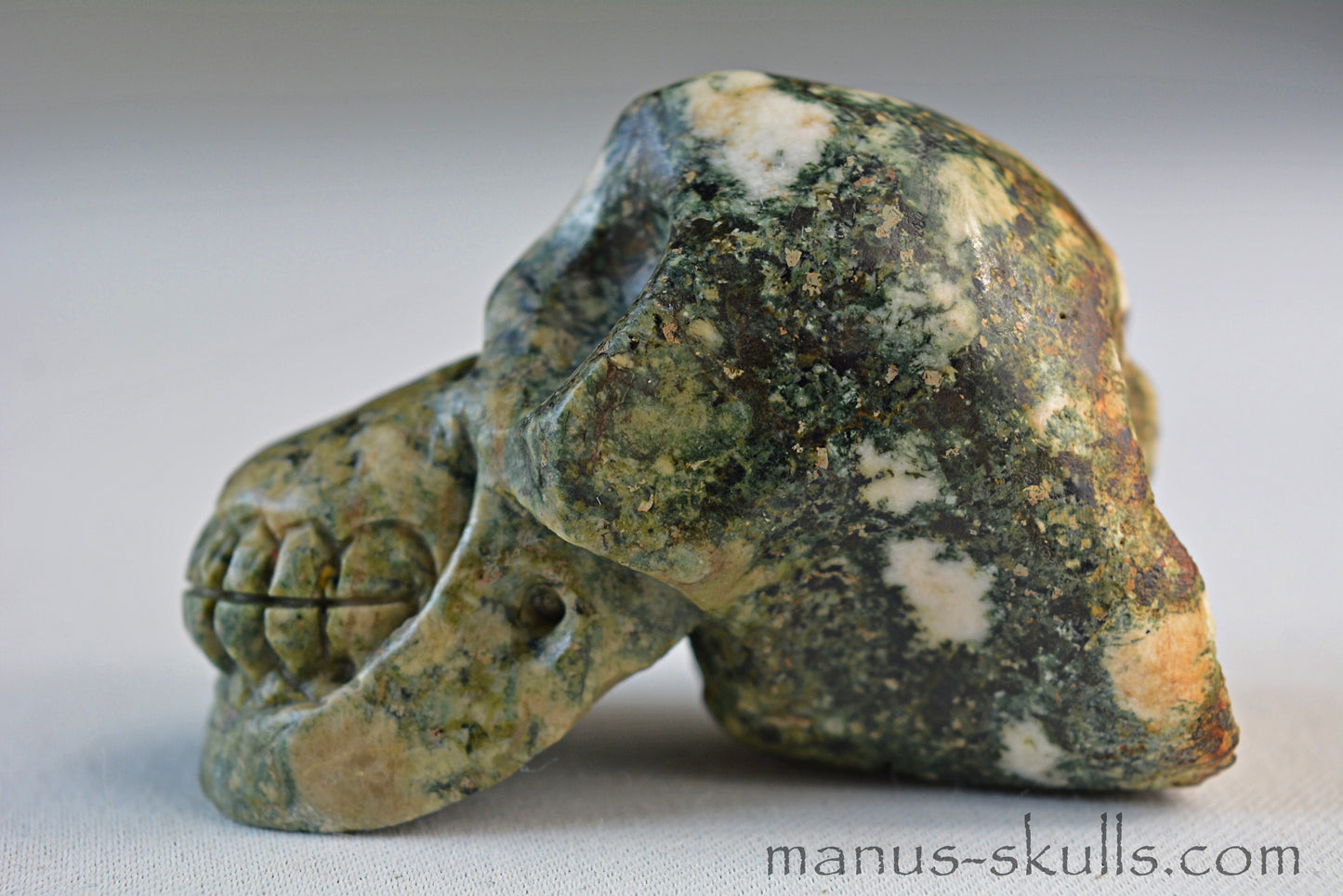 Preseli Bluestone Skull