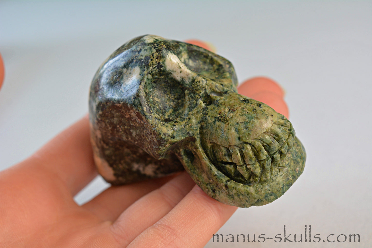 Preseli Bluestone Skull