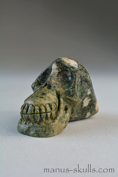 Preseli Bluestone Skull