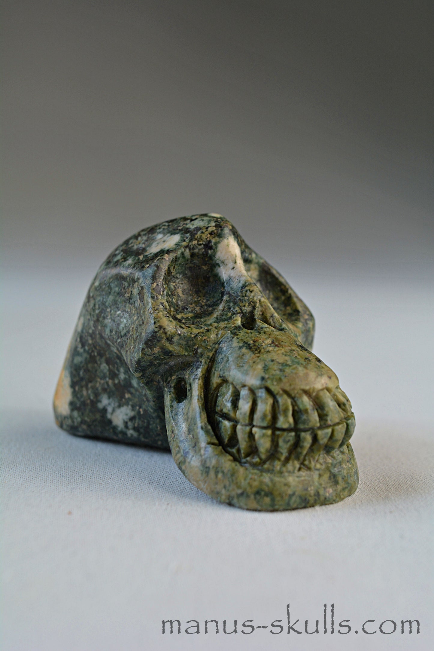 Preseli Bluestone Skull