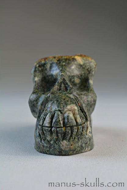 Preseli Bluestone Traveller Skull