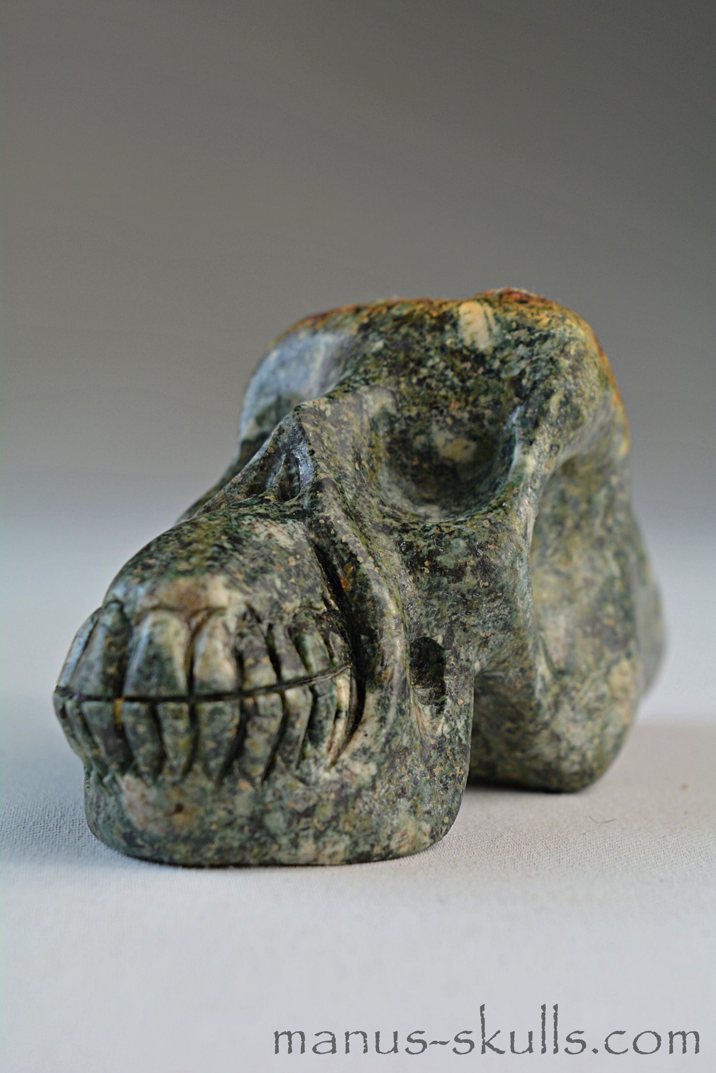 Preseli Bluestone Traveller Skull