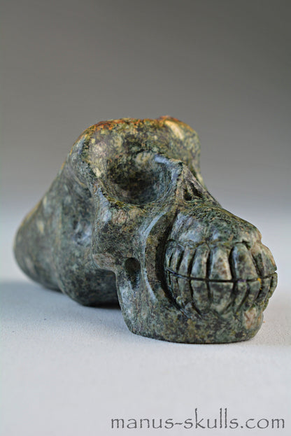 Preseli Bluestone Traveller Skull