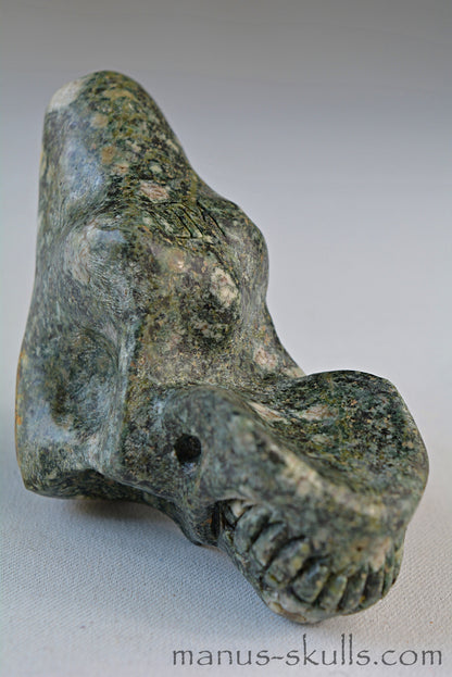 Preseli Bluestone Traveller Skull