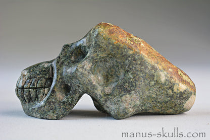 Preseli Bluestone Traveller Skull