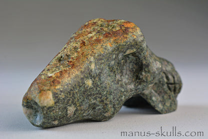 Preseli Bluestone Traveller Skull