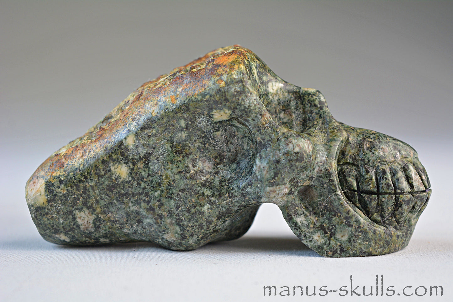 Preseli Bluestone Traveller Skull