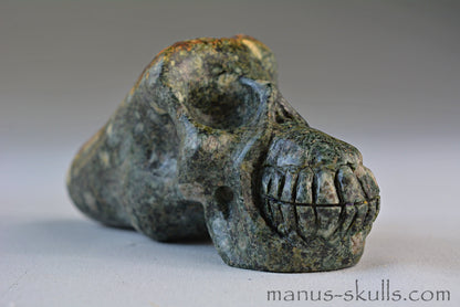 Preseli Bluestone Traveller Skull