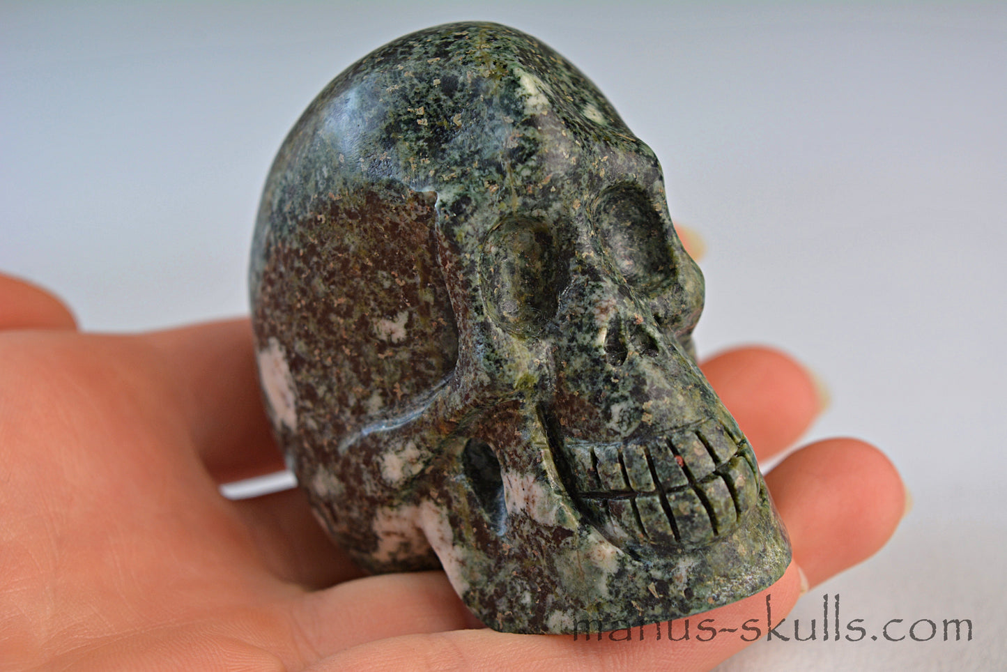 Preseli Bluestone Skull
