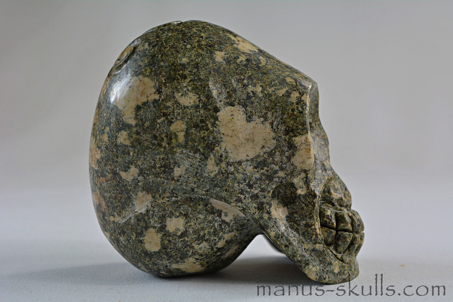 Preseli Bluestone Skull with Triskelion Symbol