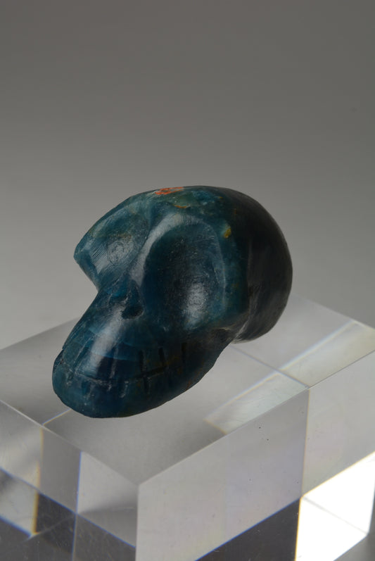 Apatite Skull